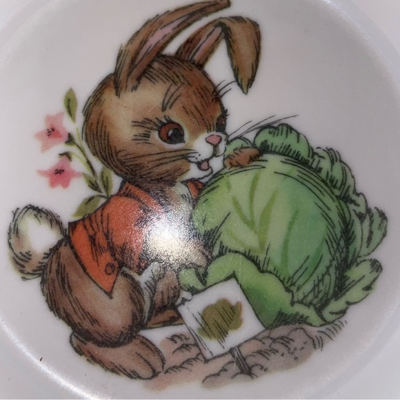 2 Oneida Deluxe 3243 3258 Peter Rabbit Melamine Melmac Bowls 6.5" 4.75" Set 3 - Picture 3 of 6